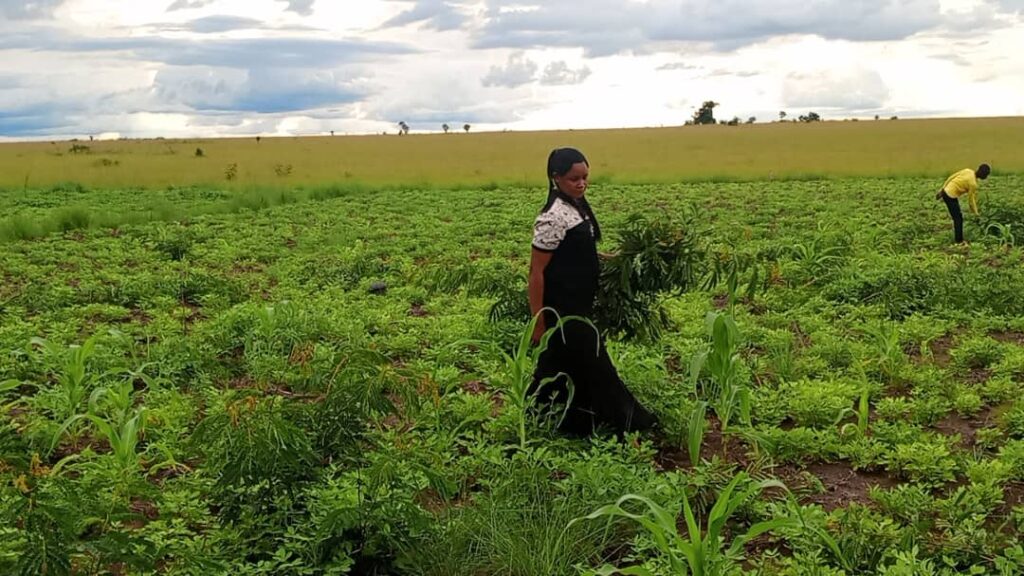 whatsapp image 2024 12 17 at 16.27.11 whatsapp image 2024 12 17 at 16.27.11