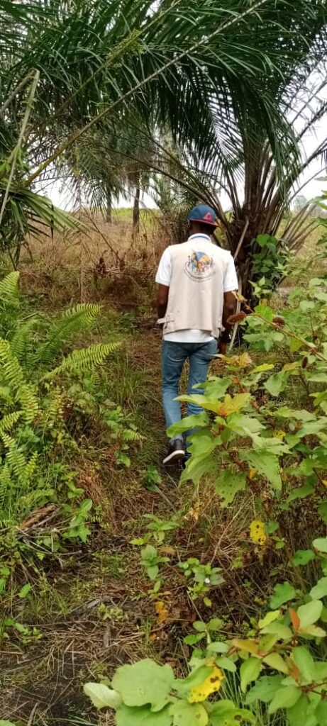 whatsapp image 2024 12 28 at 07.51.08 whatsapp image 2024 12 28 at 07.51.08